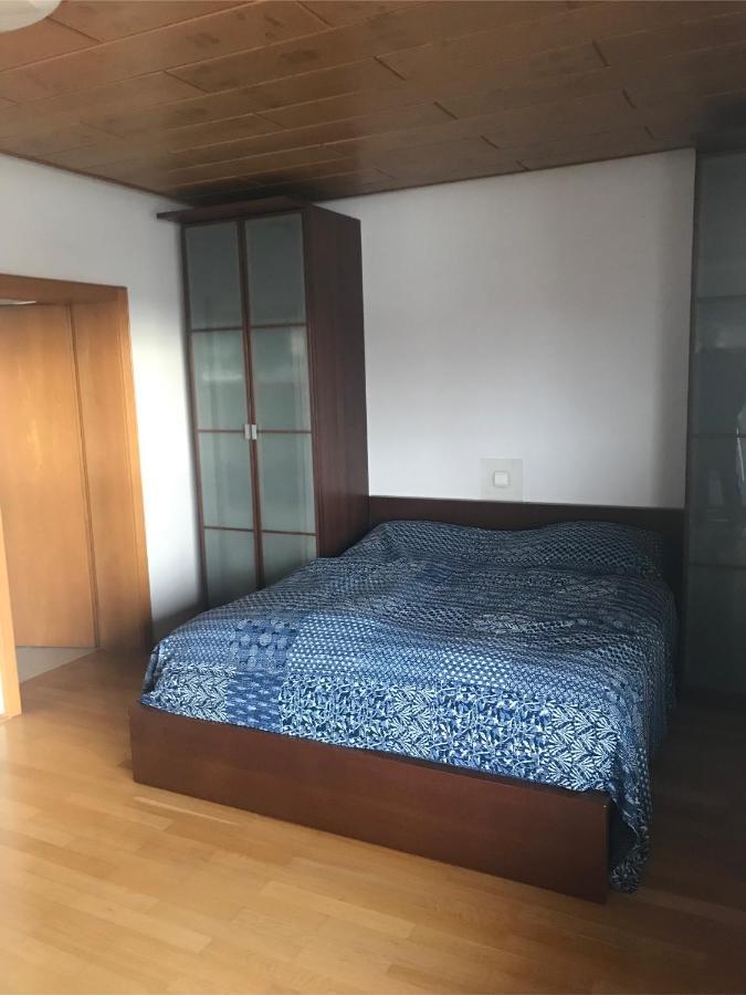 Fuer Pendler Und Monteure Oder Ferienwohnung Zum Erholen Ober-Ramstadt Esterno foto